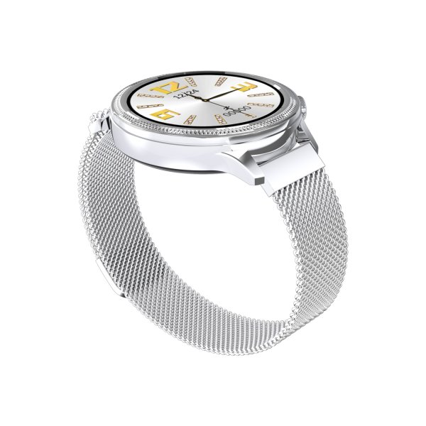 Carneo Gear Plus Deluxe smart hodinky, strieborné