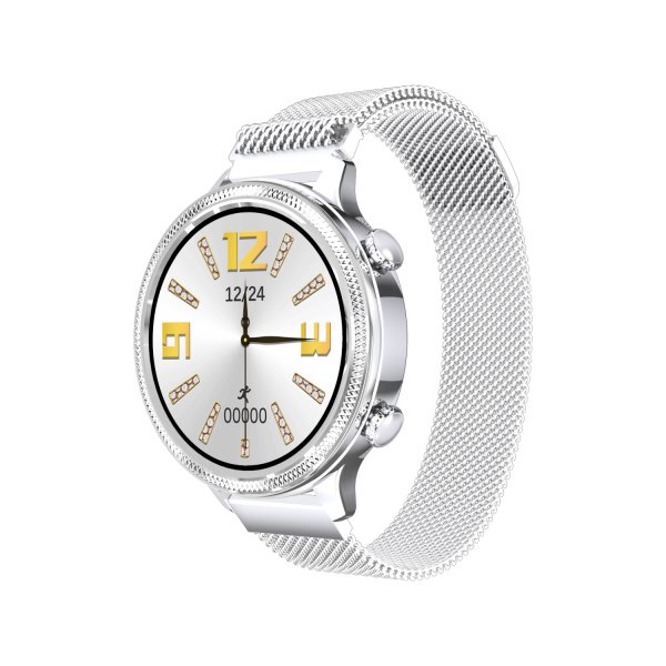 Carneo Gear Plus Deluxe smart hodinky, strieborné