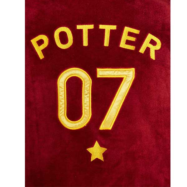 Župan Quidditch (Harry Potter)