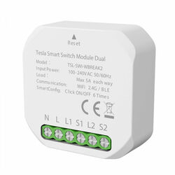 Tesla Smart Switch Module Dual